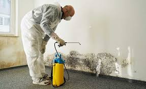 Best Residential Mold Inspection & Testing  in West Point, GA