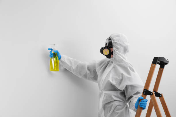 Mold Documentation for Insurance Claims in West Point, GA